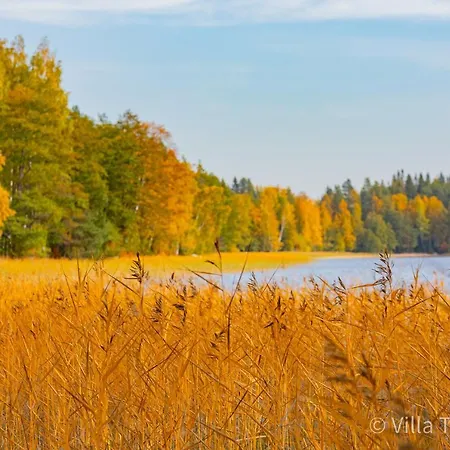 Tuuliniemi