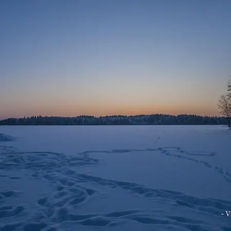 Tuuliniemi Villa *